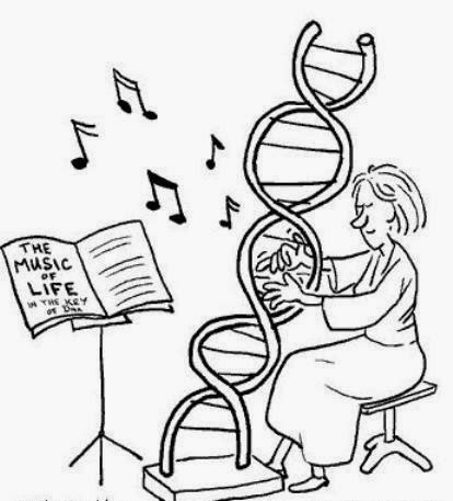 las aptitudes musicales y genes