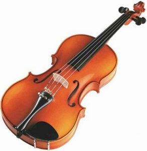 violin