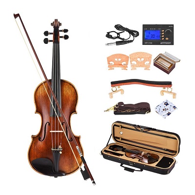 carro Dormido Previamente ▷ Mejores violines calidad precio ❤️ Comprar Online | El Regalo Musical